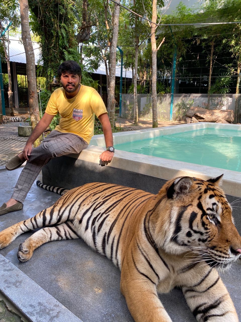 Photo of Tiger Park - Pattaya, Pattaya City, Bang Lamung District, Chon Buri, Thailand by Yoganand