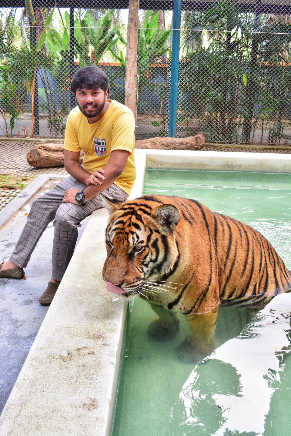 Photo of Tiger Park - Pattaya, Pattaya City, Bang Lamung District, Chon Buri, Thailand by Yoganand