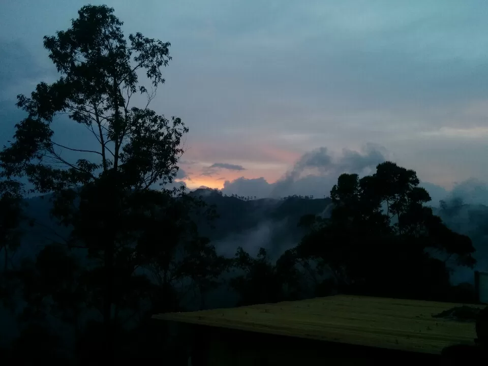Photo of Munnar, Kerala, India by Swaroop Saju