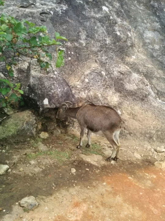 Photo of Munnar, Kerala, India by Swaroop Saju