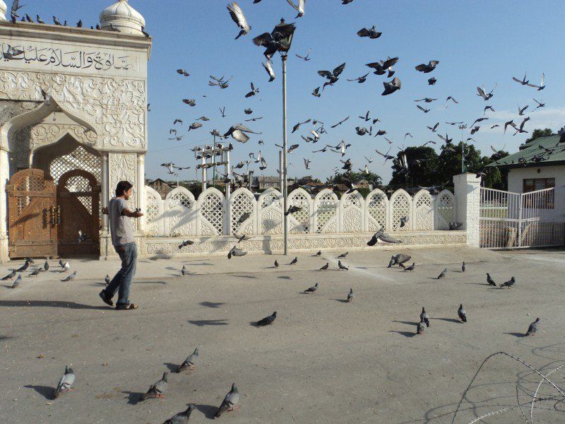 Photo of Heaven can wait. 1/42 by Swaroop Saju