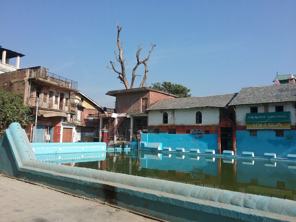 Photo of Off the beaten path: Garli and Pragpur 12/13 by Tanushree Das