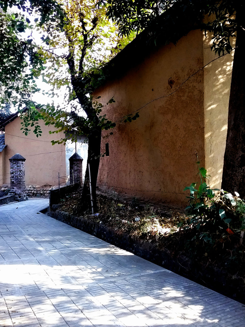 Photo of Off the beaten path: Garli and Pragpur 8/13 by Tanushree Das