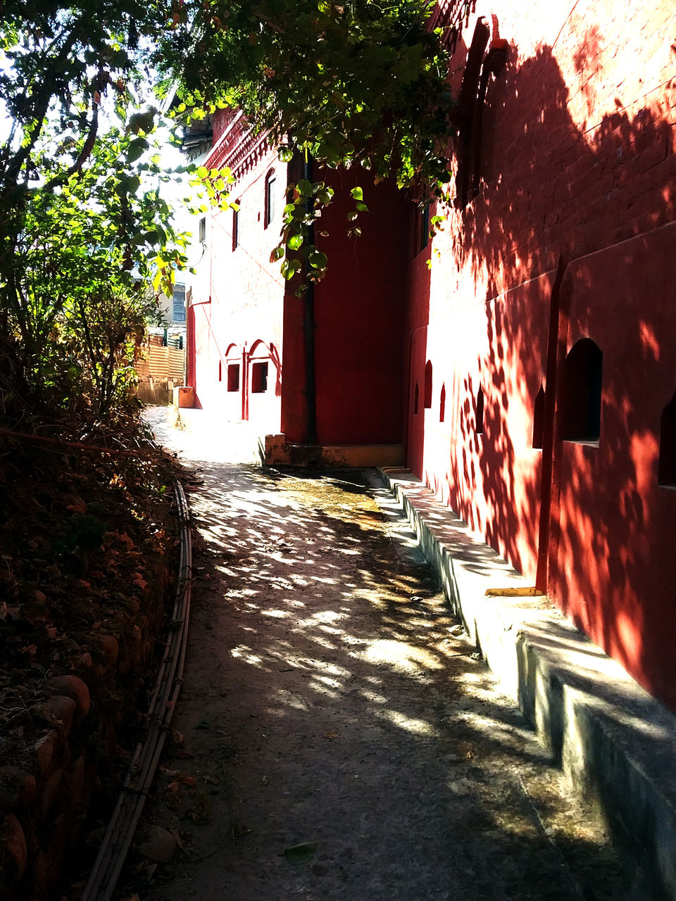 Photo of Off the beaten path: Garli and Pragpur 13/13 by Tanushree Das