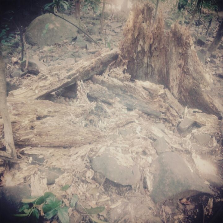 Photo of An essential guide to reach devkund waterfall for first timer in 300rs. by Gautam Vaishnav