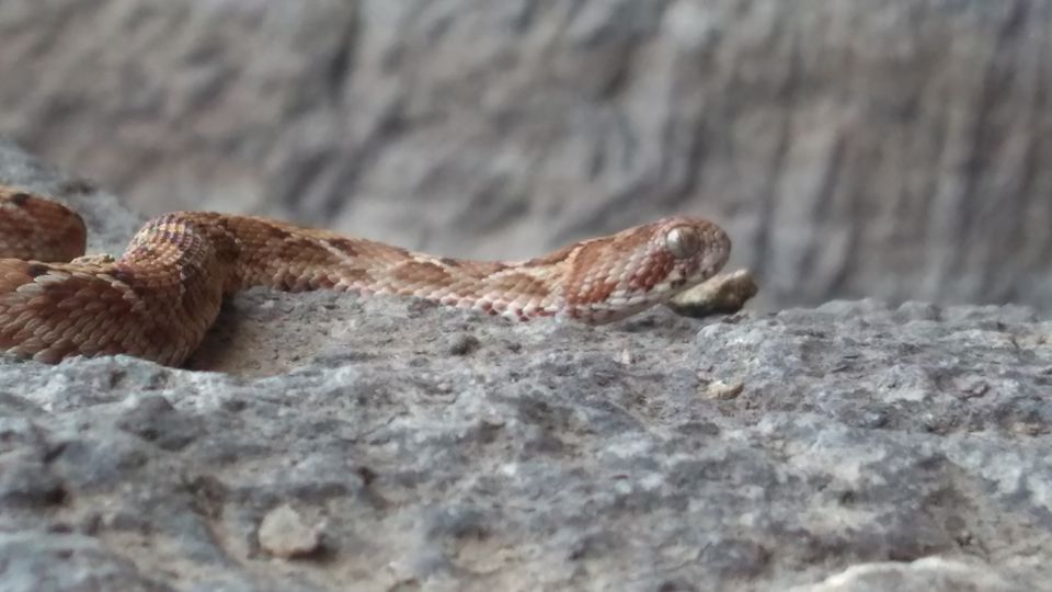 Photo of One Day Trek to Irshalgad in 100Rs in Panvel(Mumbai). by Gautam Vaishnav