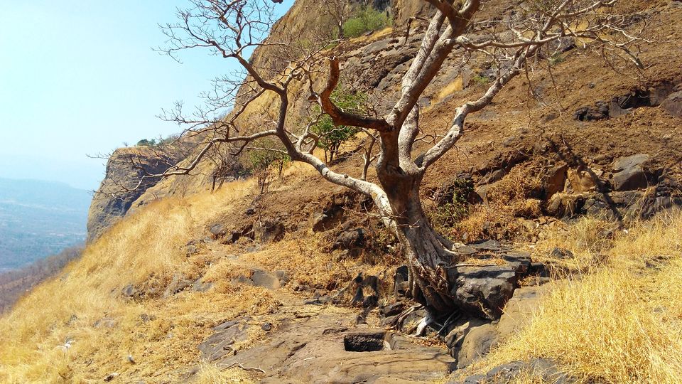 Photo of My Trek to Sudhagad near Khopoli, On A Low Budget. by Gautam Vaishnav
