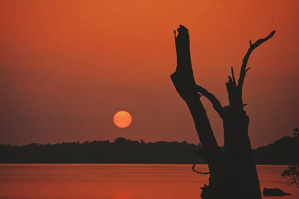 Photo of Andaman Islands, North and Middle Andaman, Andaman and Nicobar Islands, India by Mahrshi Bisani