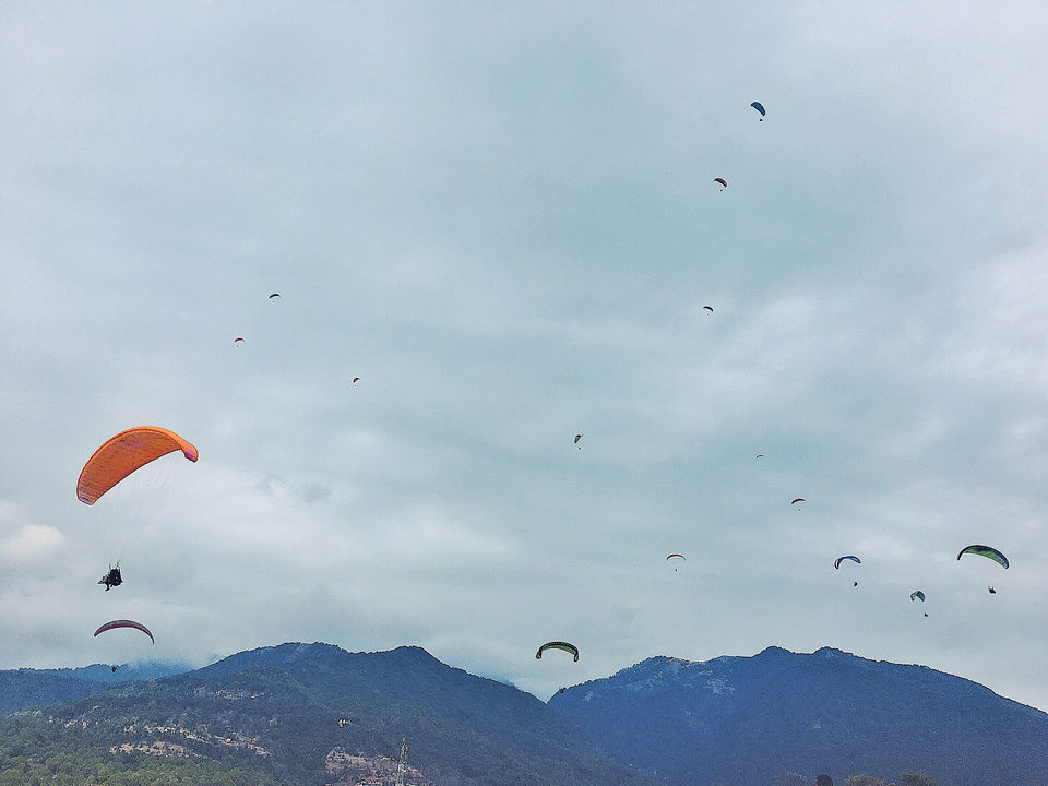 Photo of My days in Bir Biling ( Himachal Pradesh ) by Mahrshi Bisani