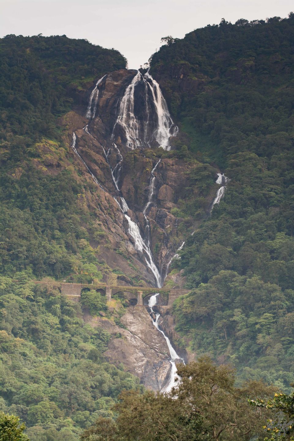 Photo of Dudhsagar Falls: A trip to remember 5/14 by Kaustav Sen