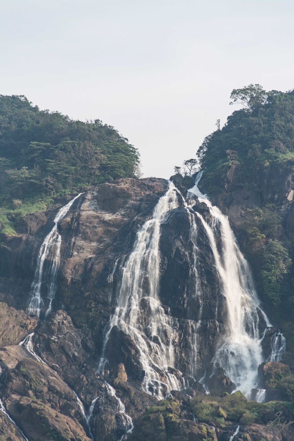 Photo of Dudhsagar Falls: A trip to remember 7/14 by Kaustav Sen
