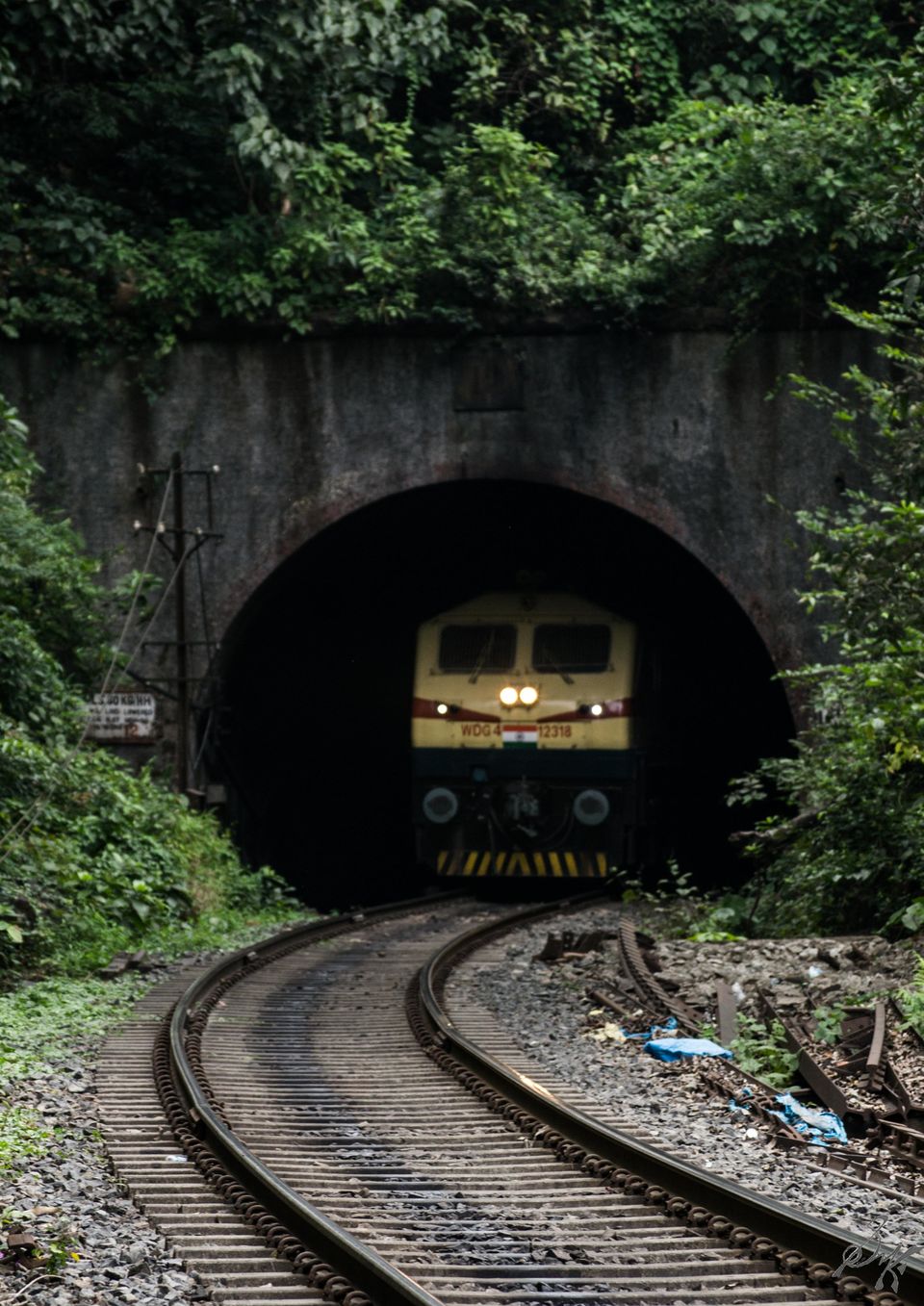 Photo of Dudhsagar Falls: A trip to remember 13/14 by Kaustav Sen