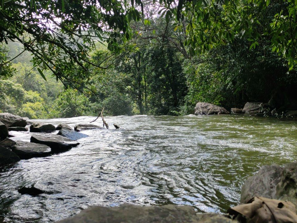 Photo of Mookanamane Waterfalls, Jedigadde, Karnataka, India by Jaya Saravanan