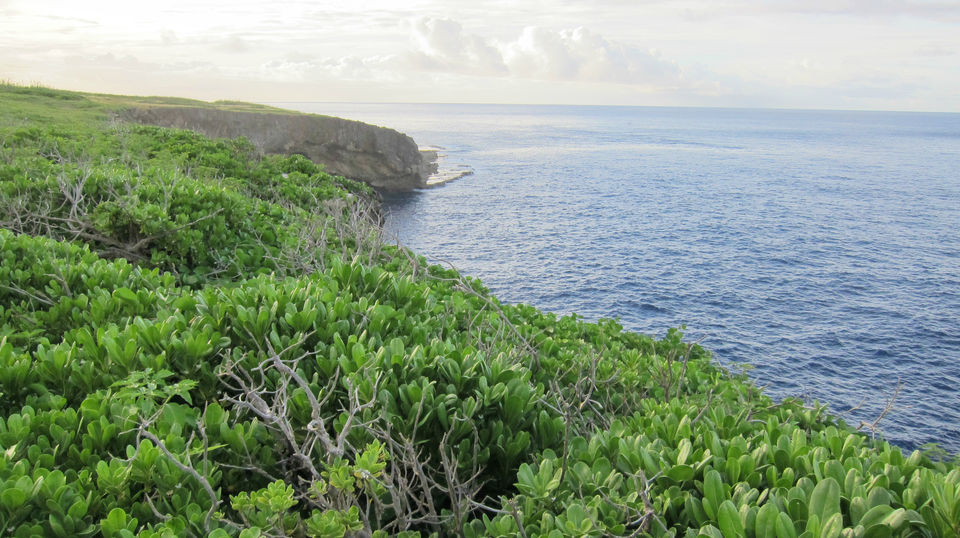 Photo of Explore & Discover Saipan 8/14 by Lyka Tan