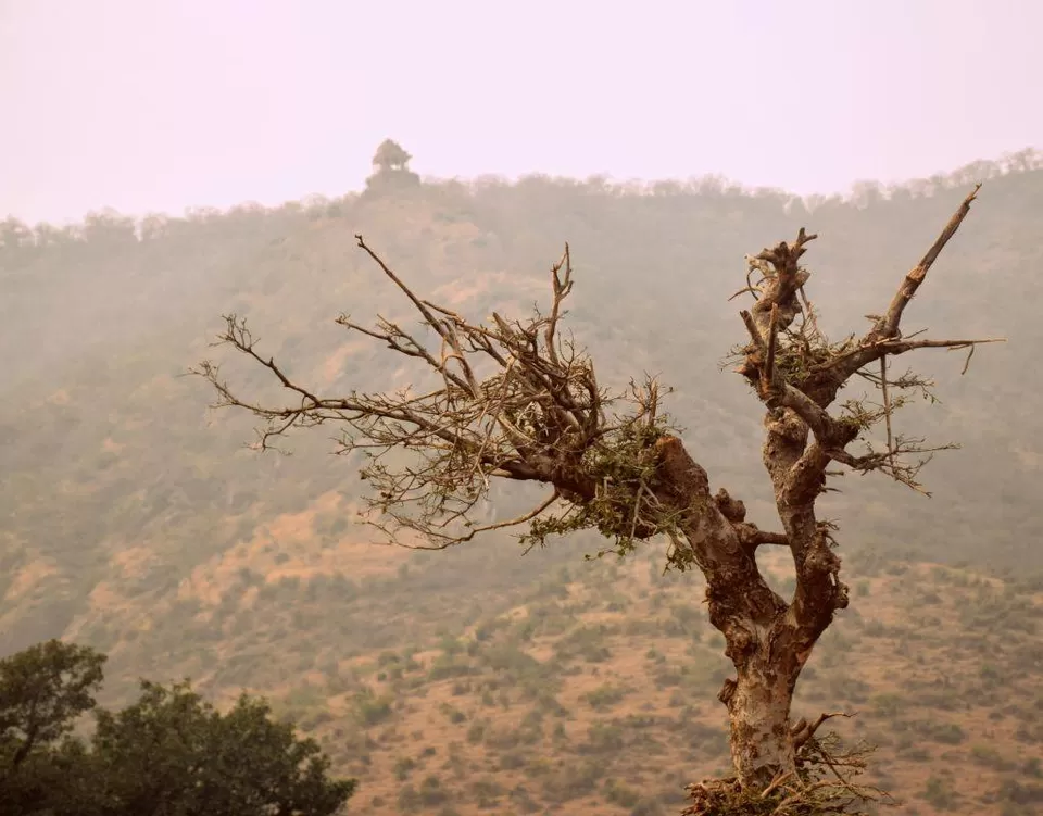 Photo of Bhangarh by Sayan Debnath