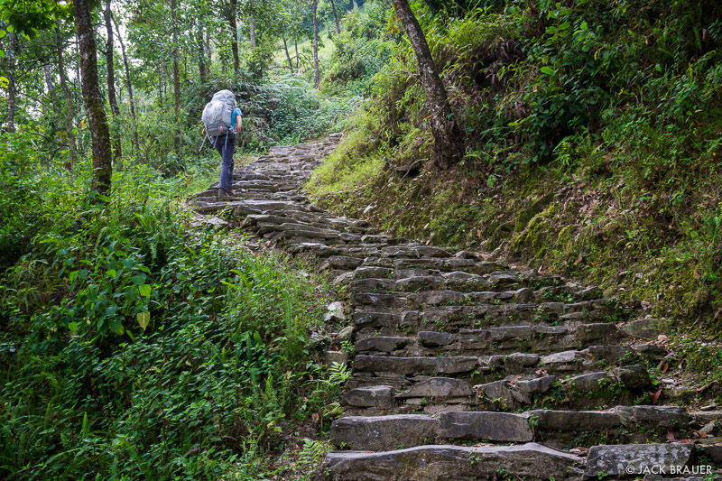 Photo of Annapurna Base Camp Trek 1/4 by Icicles Adventure Treks And Tours