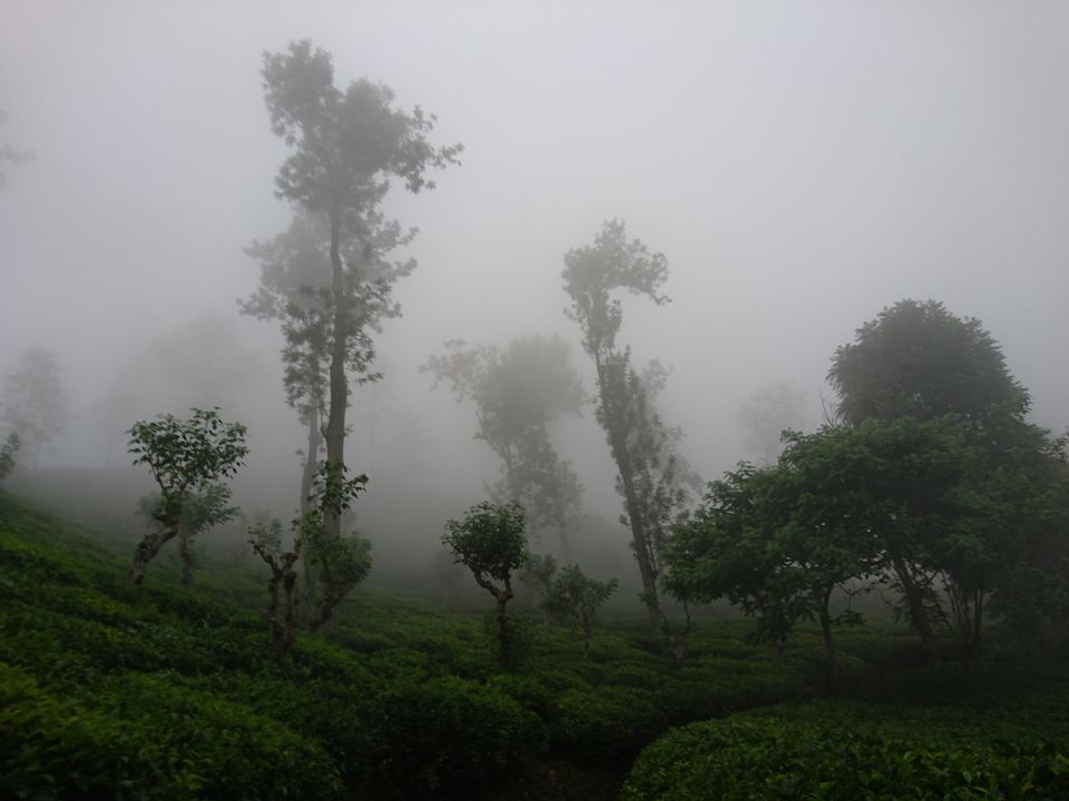 Photo of Ella, Uva Province, Sri Lanka by A Lone Wolf!!!