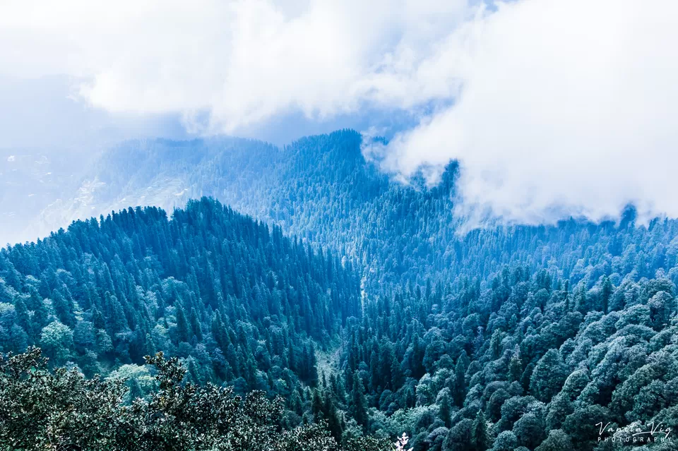 Photo of Narkanda, Himachal Pradesh, India by Vanita Vig