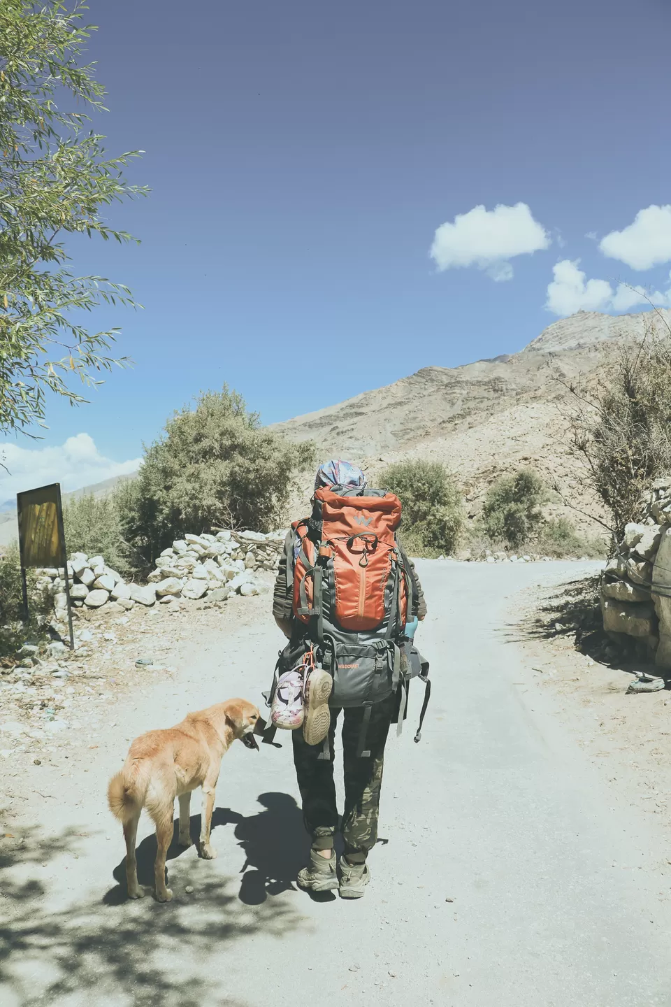 Photo of Nako, Himachal Pradesh, India by Vanita Vig