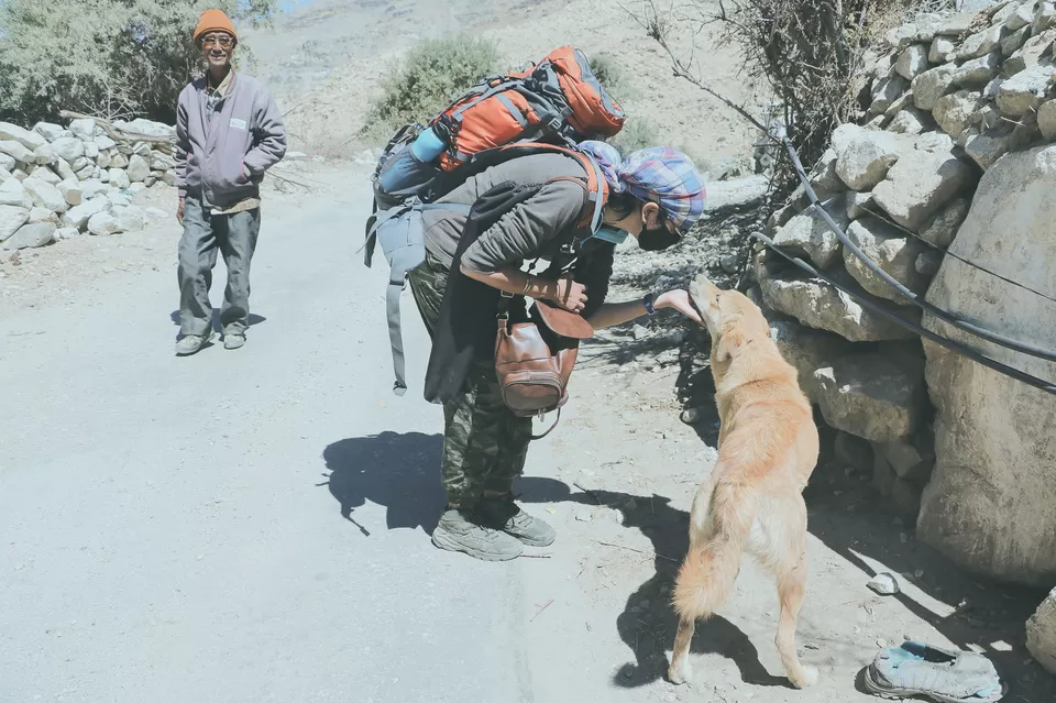 Photo of Nako, Himachal Pradesh, India by Vanita Vig