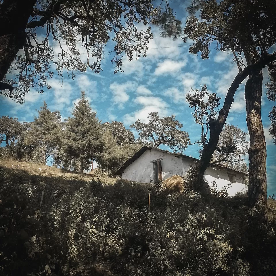 Photo of Lansdowne, Uttarakhand, India by Vanita Vig
