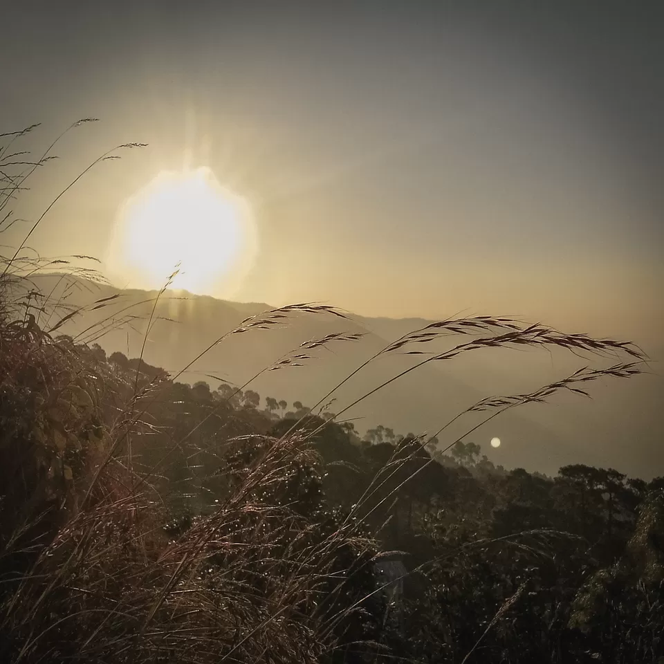 Photo of Lansdowne, Uttarakhand, India by Vanita Vig