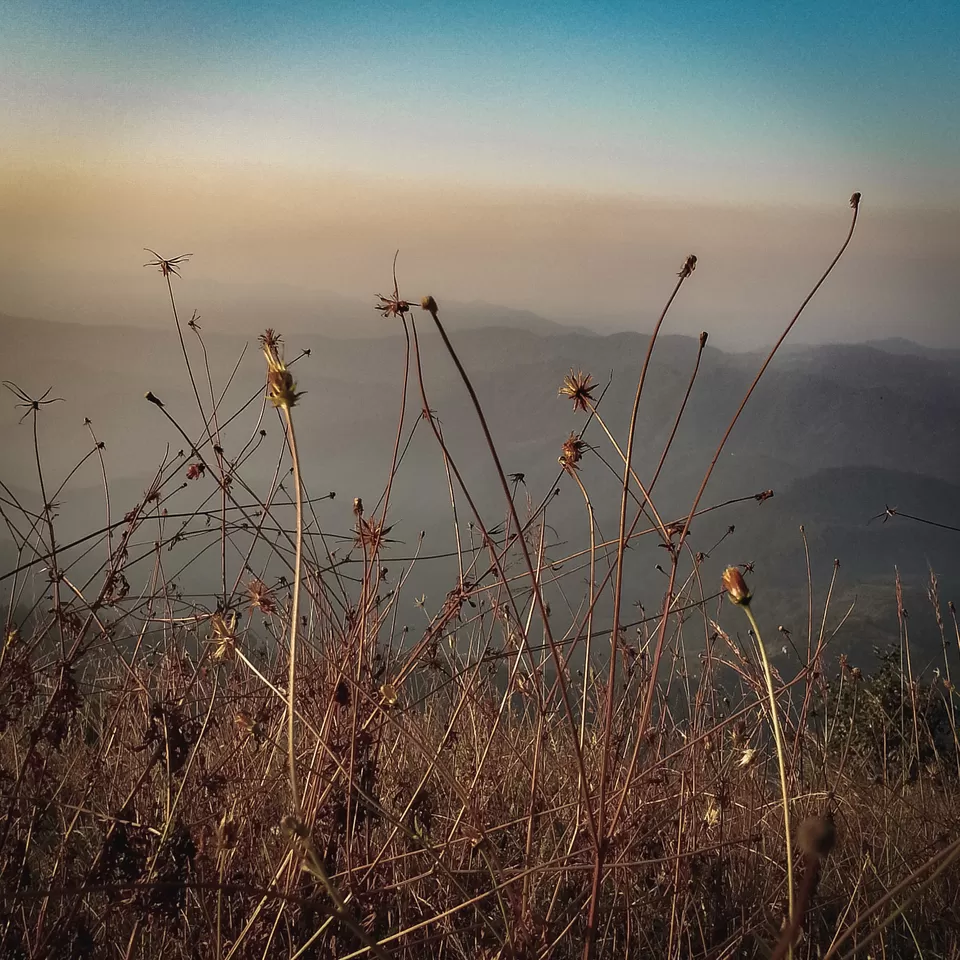 Photo of Lansdowne, Uttarakhand, India by Vanita Vig