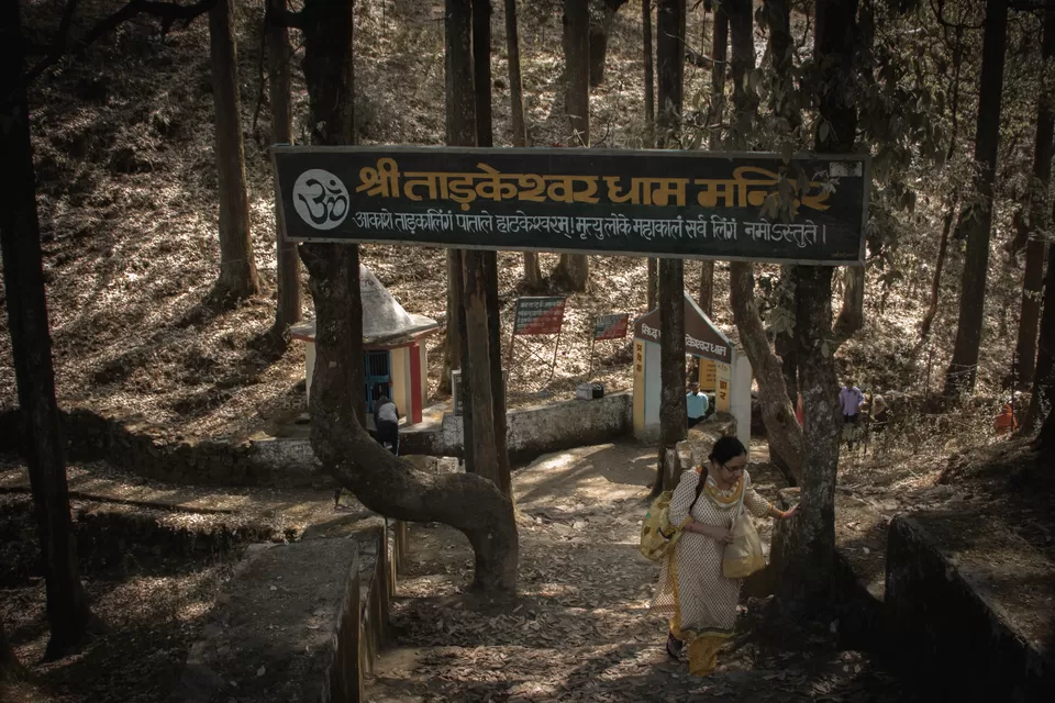 Photo of Lansdowne, Uttarakhand, India by Vanita Vig