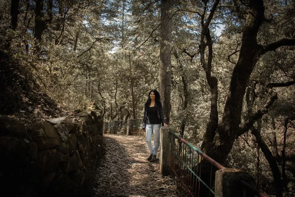 Photo of Lansdowne, Uttarakhand, India by Vanita Vig