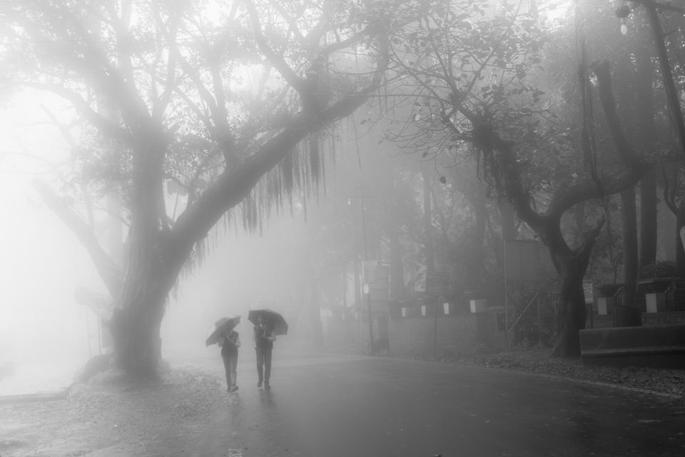 Photo of Monsoon Magic in Maharashtra !!! by Vanita Vig