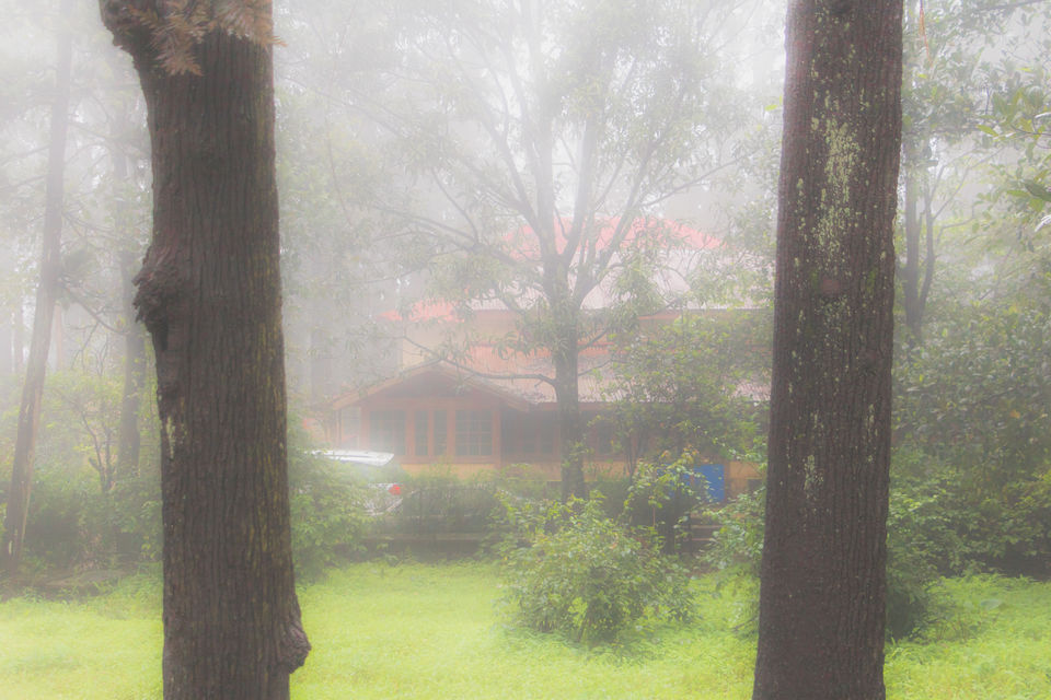 Photo of Monsoon Magic in Maharashtra !!! 8/18 by Vanita Vig
