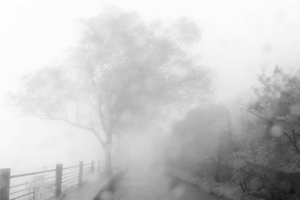 Photo of Monsoon Magic in Maharashtra !!! 9/18 by Vanita Vig