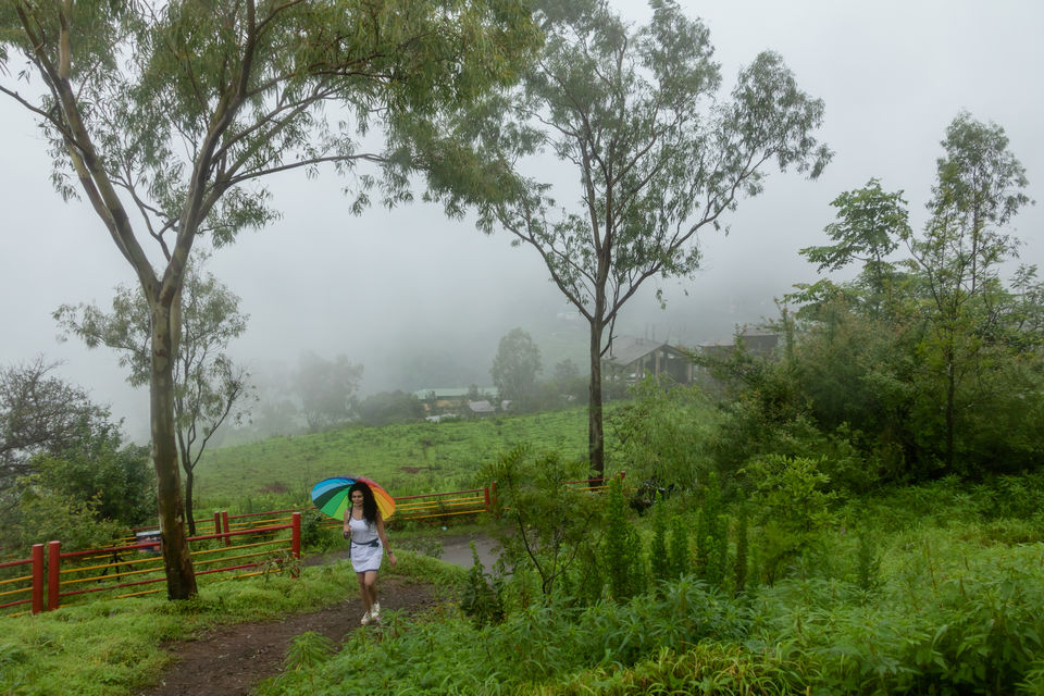 Photo of Monsoon Magic in Maharashtra !!! 10/18 by Vanita Vig