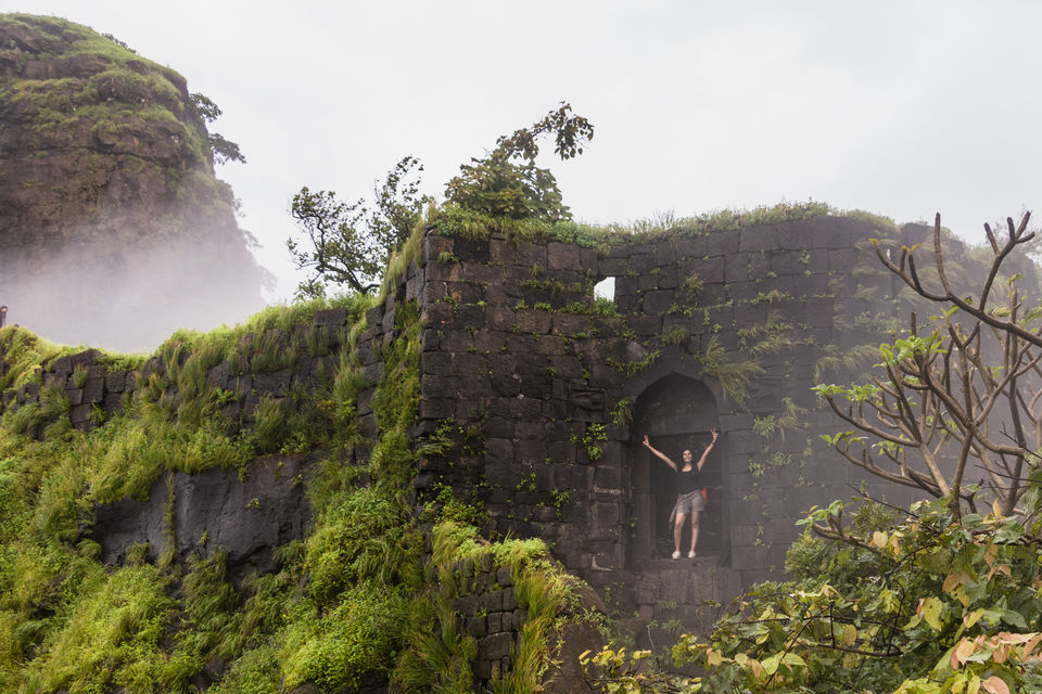 Photo of Monsoon Magic in Maharashtra !!! 15/18 by Vanita Vig