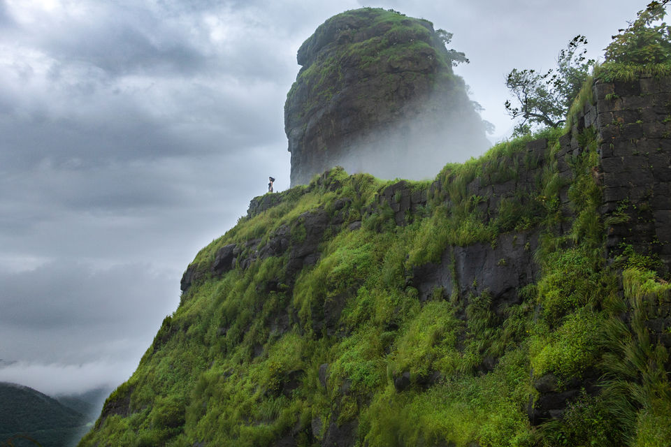 Photo of Monsoon Magic in Maharashtra !!! 16/18 by Vanita Vig