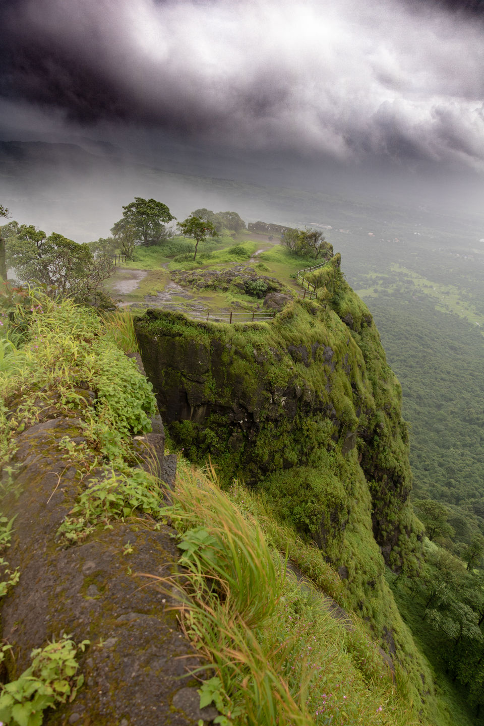 Photo of Monsoon Magic in Maharashtra !!! 17/18 by Vanita Vig