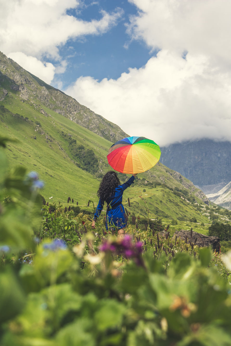 Photo of Valley of Flowers National Park, Uttarakhand, India by Vanita Vig