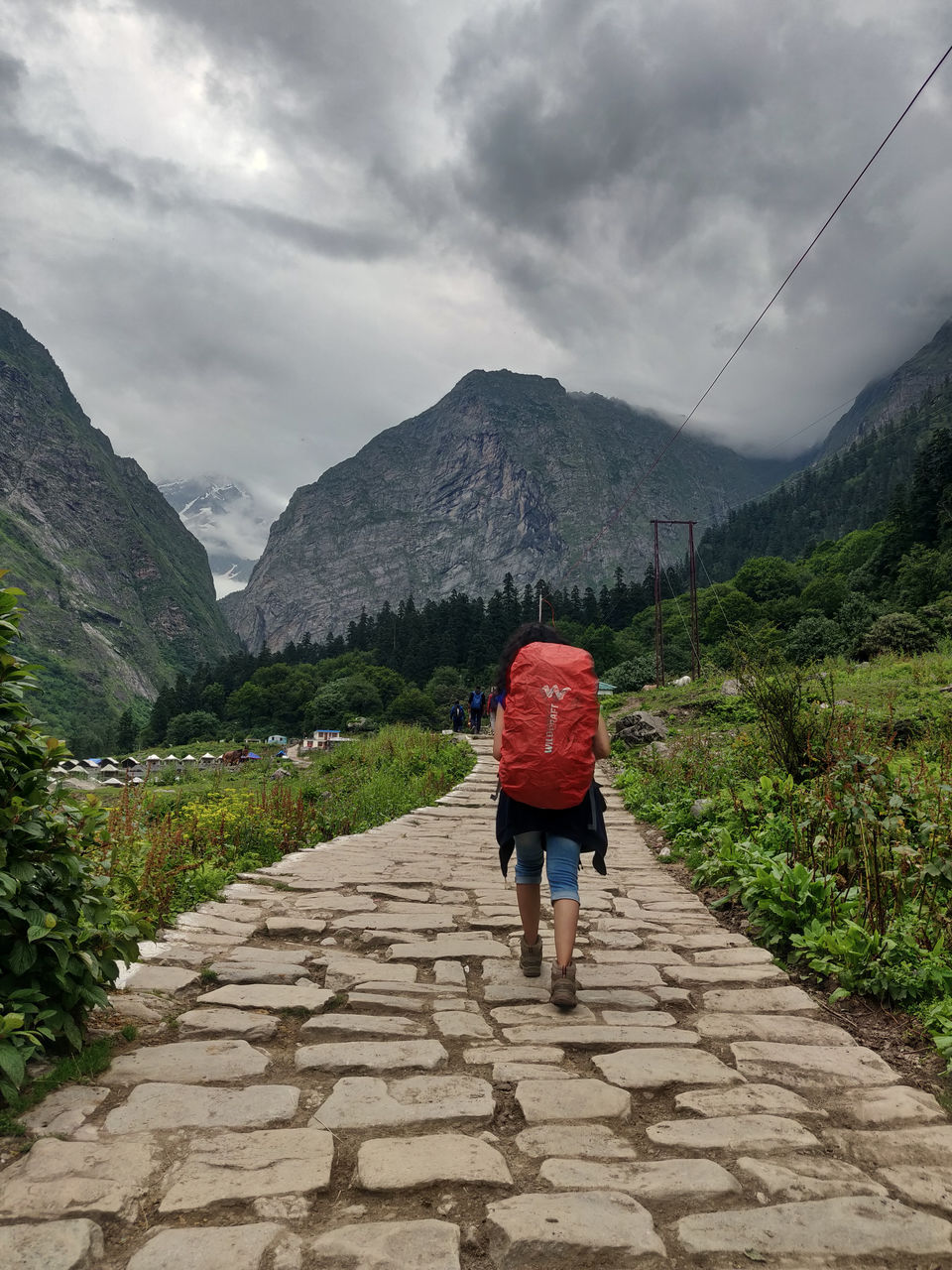 Photo of Ghangaria, Uttarakhand, India by Vanita Vig