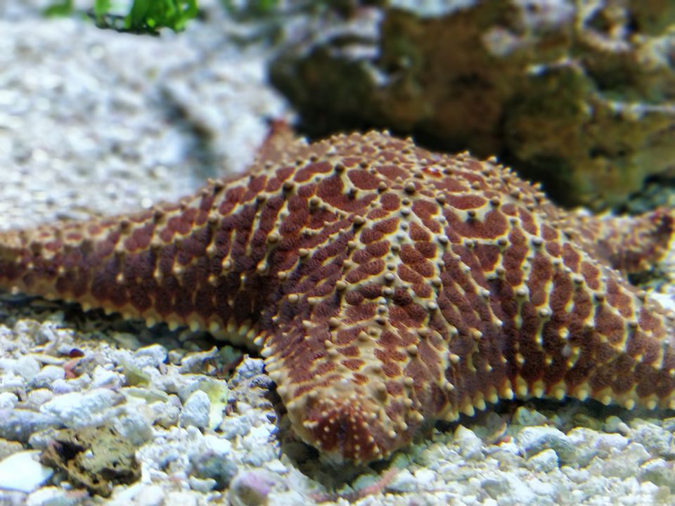 Photo of New England Aquarium, Central Wharf, Boston, MA, USA by Sanjusha Gandarapu