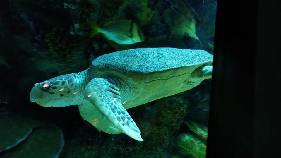 Photo of New England Aquarium, Central Wharf, Boston, MA, USA by Sanjusha Gandarapu