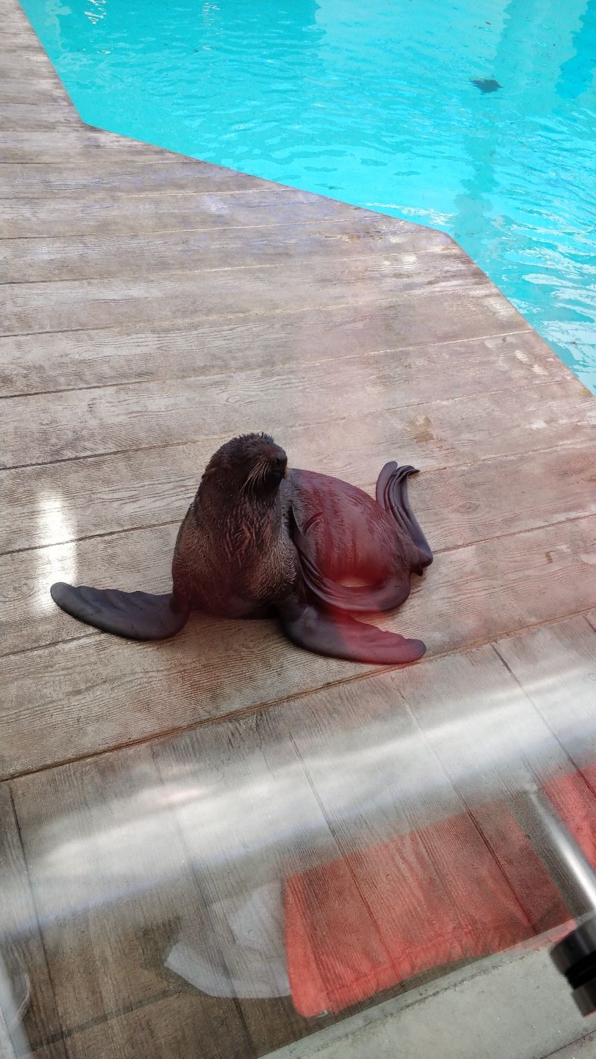 Photo of New England Aquarium, Central Wharf, Boston, MA, USA by Sanjusha Gandarapu
