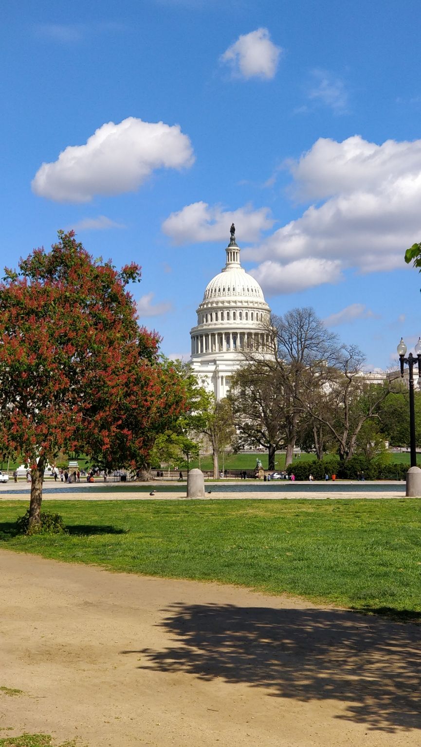 Photo of Discovering DC! #travelguideUSA by Sanjusha Gandarapu