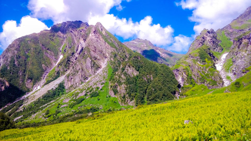 Photo of Valley of Flowers - UNESCO HERITAGE- Hemkund - Mana 29/37 by Amar Singh