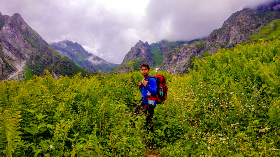 Photo of Valley of Flowers - UNESCO HERITAGE- Hemkund - Mana 30/37 by Amar Singh