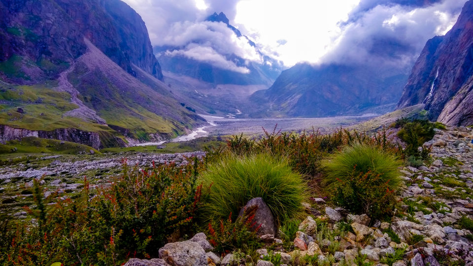 Photo of Valley of Flowers - UNESCO HERITAGE- Hemkund - Mana 32/37 by Amar Singh