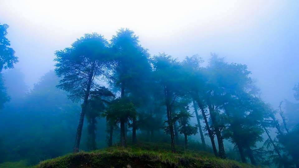 Photo of Naukuchiatal Lake 4/7 by Amar Singh
