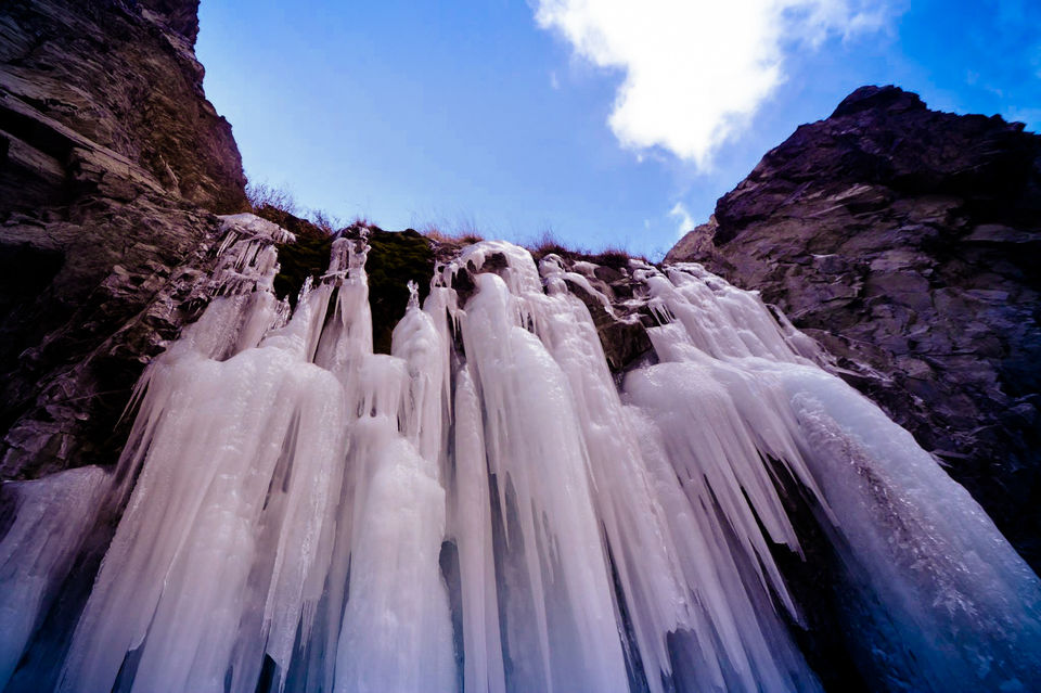 Photo of LEH IN WINTER ! An alternate Path to Chadar 3/15 by Amar Singh