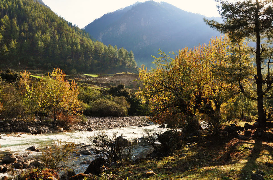 Photo of One Of The Toughest Treks In the World Is In Bhutan And You Must Embark On It Now by Pallavi Paul