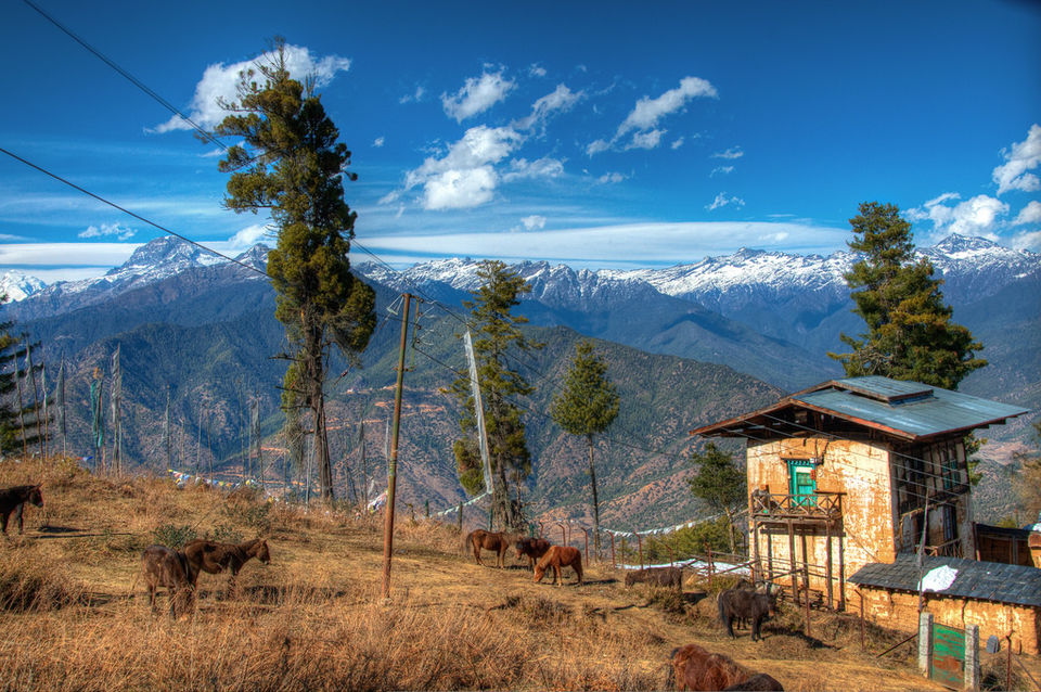 Photo of One Of The Toughest Treks In the World Is In Bhutan And You Must Embark On It Now by Pallavi Paul