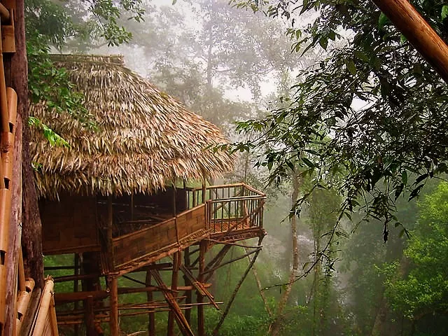 Photo of Mawlynnong, Meghalaya, India by Pallavi 